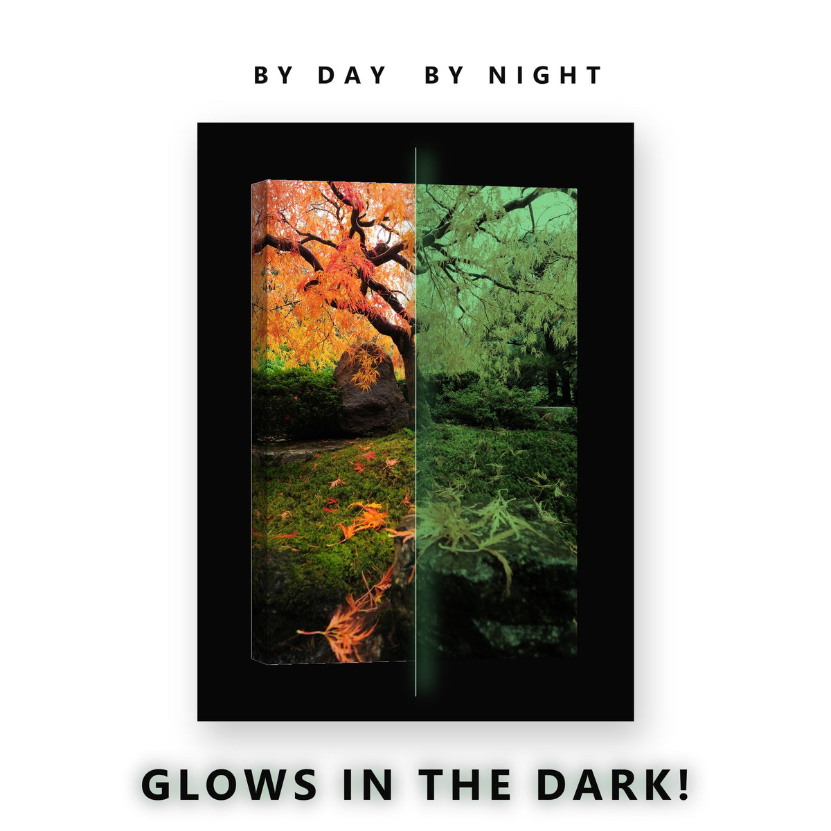 Japanese Maple Mossy Rock Glow in the Dark Canvas Wall Art for Living Room, glowing at night